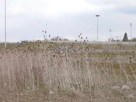 P1160513