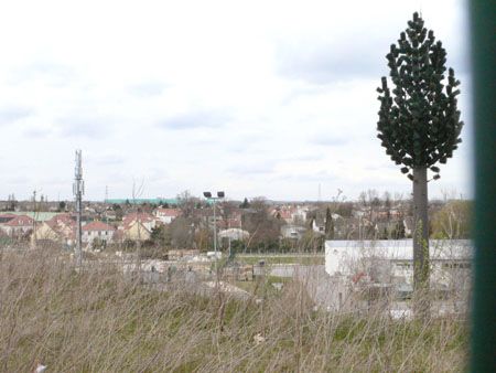 P1160530